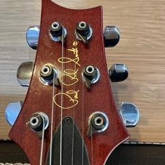 ・PAUL REED SMITH / Custom 22 Bird Normal Top (1996) 　ポールリードスミス