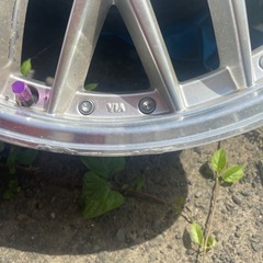 ロクサーニ     20inch