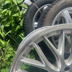 ロクサーニ     20inch