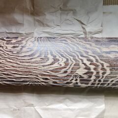 お琴　漆ケース付き　デッドストック　未使用品　内袋・外袋付き　木瓜家紋