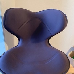 【ほぼ新品】姿勢矯正 スタイルスマート