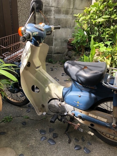 ノーマルカブお譲り致します。