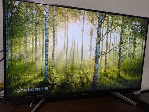 【譲り先決定】43インチ　テレビ