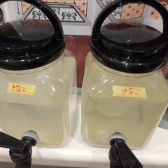 きな粉で培養 ゾウリムシ約1.5L(セリアのウォーターサーバー1...