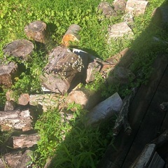 薪ストーブやキャンピング用のゴロ薪