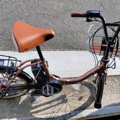 他にいませんか？　パスシティC