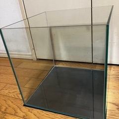 コトブキレグラスの中古が安い！激安で譲ります・無料であげます  