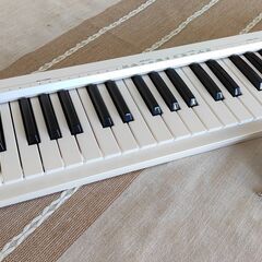 ROLAND A49 中古