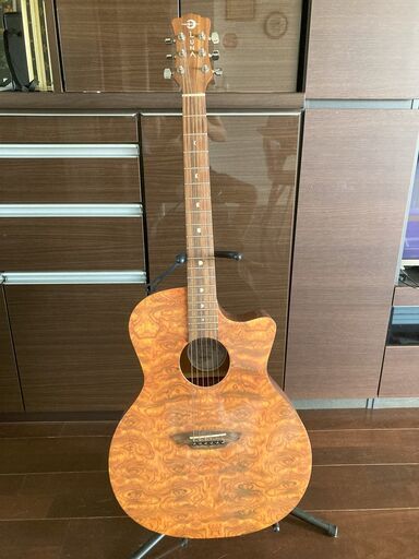 Luna Guitars Gypsy Bubinga   Graphic Acoustic Guitar  Lunaギター　アコースティックギター　アコギ