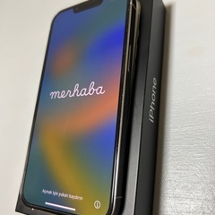 iPhone13Pro 256gb シルバー