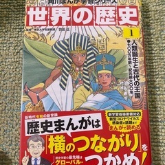 【未使用品•カバー付】角川まんが学習シリーズ 世界の歴史 全20巻定番セット