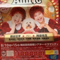 アニーミュージカルチケット　2枚