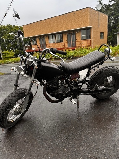 カワサキ tw200