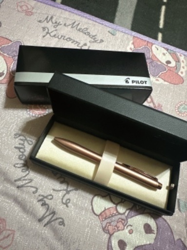 PILOT ケース付き ボールペン 新品未使用品
