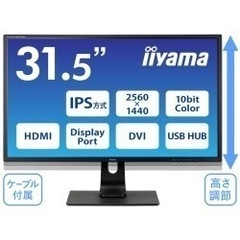 【売約済み】液晶ディスプレイ【31.5インチ】