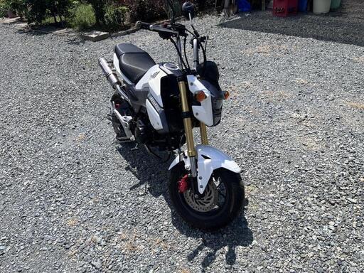 HONDA　ホンダ　グロム125　美車