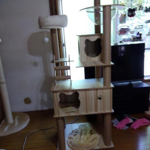 ほぼ新品のキャットタワー