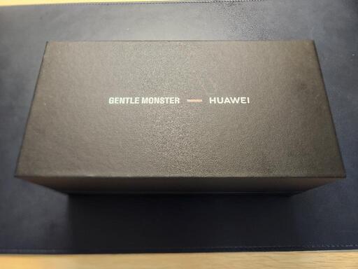 HUAWEI GENTLE MONSTER EYEWEAR 2 サングラスタイプ