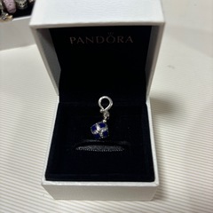 パンドラチャーム5点セット