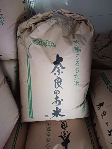 奈良県　都祁産　コシヒカリorひとめぼれ　玄米　30kg