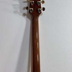 Takamine DSP532 VTS 