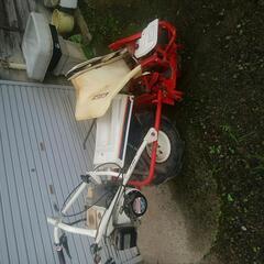 ヤンマー　バインダー　稲刈り