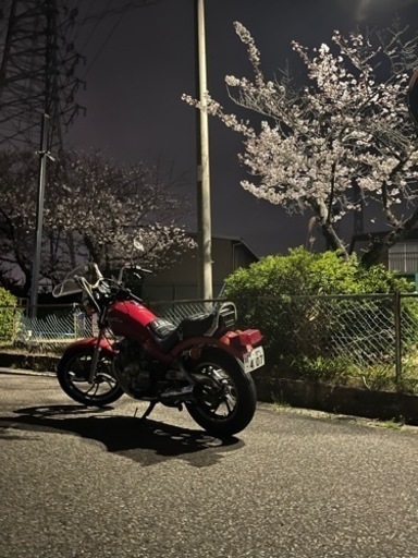 YAMAHA XS250 17E 早期でしたらお値下げ！