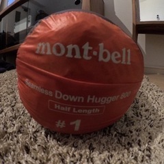 冬用シュラフ シームレス ダウンハガー800 ハーフレングス #1