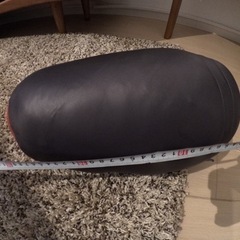 冬用シュラフ シームレス ダウンハガー800 ハーフレングス #1