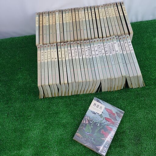 【 希少本 まとめて56冊】 保育社 カラーブックス