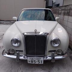 【ネット決済】MITSUOKA　ガリュウ　