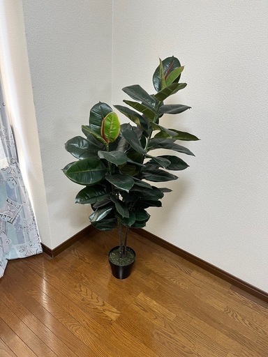 【美品】フェイクグリーン