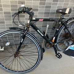 コールマン自転車（決まりました）