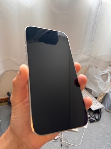 その他 iphone14promax 256gb\n
