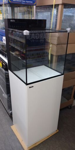 レッドシー　MAXキューブ　No.245