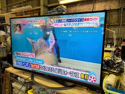 ✨安心の動作保証付✨SHARP 2019年製 50インチ液晶テレビ 4T-C50AJ1 【愛市IT008583-104】
