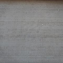 GEX 爬虫類水槽 エキゾテラ 45×45×45