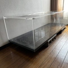 激安！早い者勝ちです！期間限定8月18まで中古アクリル水槽