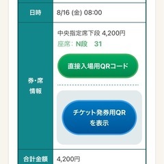 8/16　第106回　全国高等学校野球選手権大会チケット