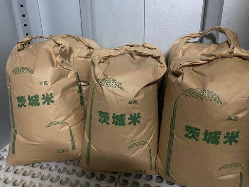 令和5年コシヒカリ古米30kg