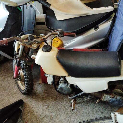 PW50 ポケバイ