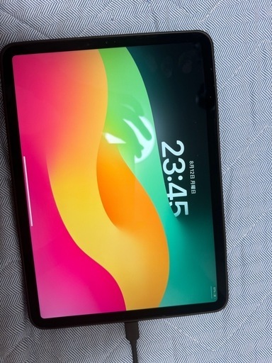 [ジャンク品]iPad pro 11インチ 第一世代 256GB