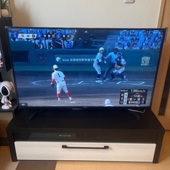 テレビ49型