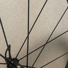 Campagnolo - Eurus (ユーラス) Mega G3 クリンチャーホイール