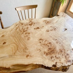 ポプラの木の天板