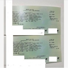 モンスターバッシュ2024 ２日通し券　2枚