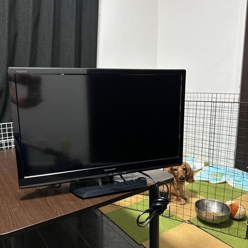 テレビ