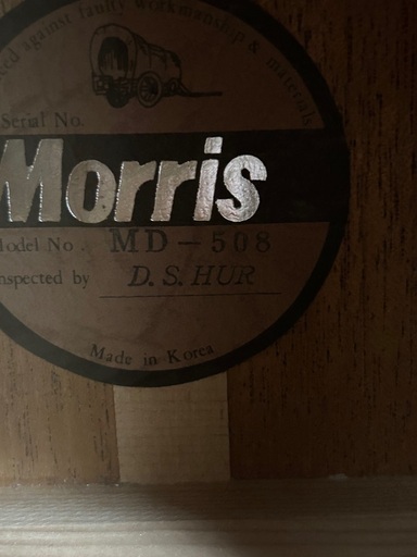 アコギ　モーリス　Morris MD-508