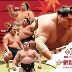 大相撲遠州吉田場所 アリーナイスS席 2枚セット