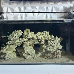 海水ガラス水槽セット90x45x45